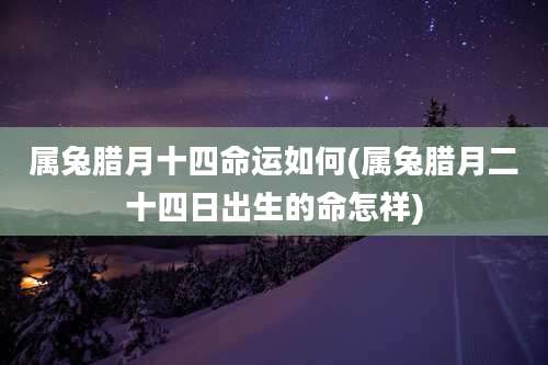属兔腊月十四命运如何(属兔腊月二十四日出生的命怎祥)