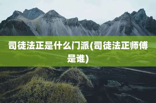 司徒法正是什么门派(司徒法正师傅是谁)