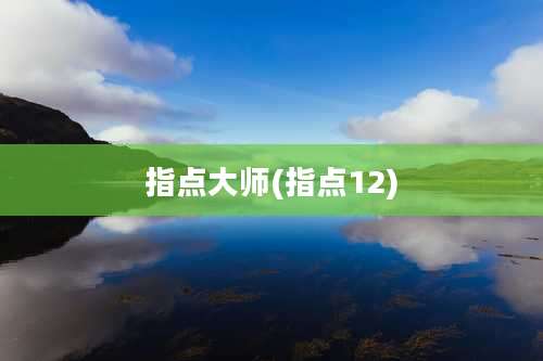 指点大师(指点12)