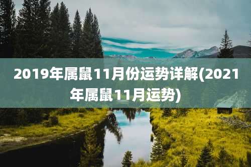 2019年属鼠11月份运势详解(2021年属鼠11月运势)