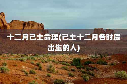 十二月己土命理(己土十二月各时辰出生的人)