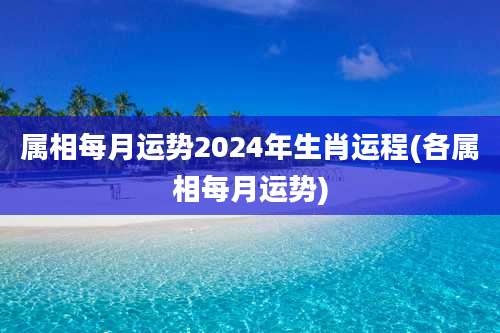 属相每月运势2024年生肖运程(各属相每月运势)