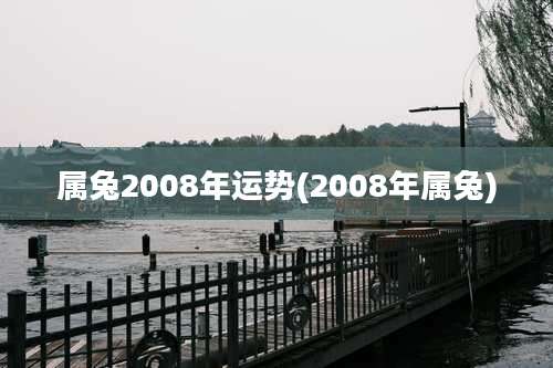 属兔2008年运势(2008年属兔)