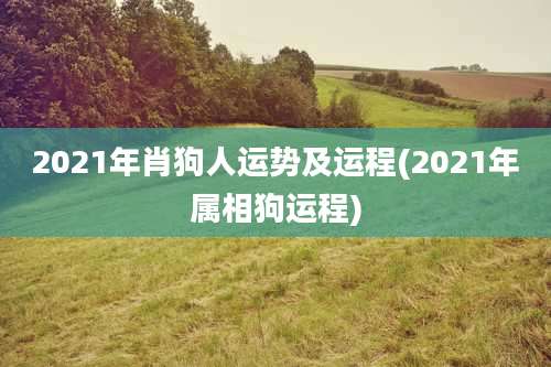 2021年肖狗人运势及运程(2021年属相狗运程)