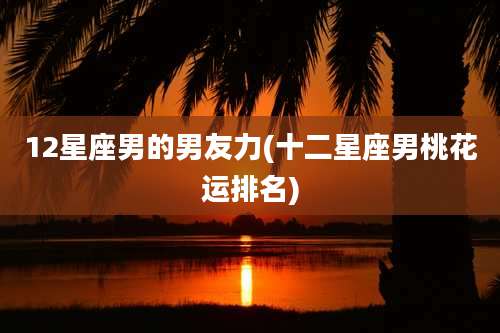 12星座男的男友力(十二星座男桃花运排名)