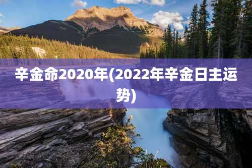 辛金命2020年(2022年辛金日主运势)