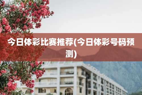 今日体彩比赛推荐(今日体彩号码预测)