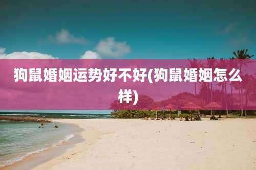 狗鼠婚姻运势好不好(狗鼠婚姻怎么样)