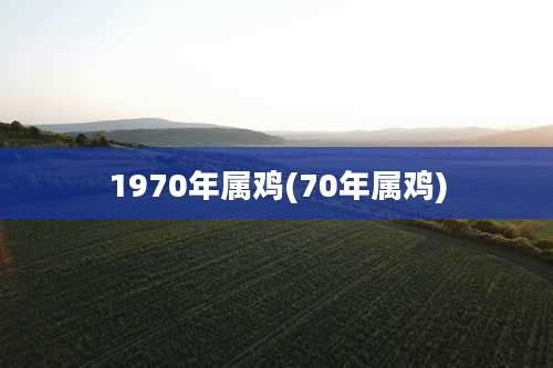 1970年属鸡(70年属鸡)