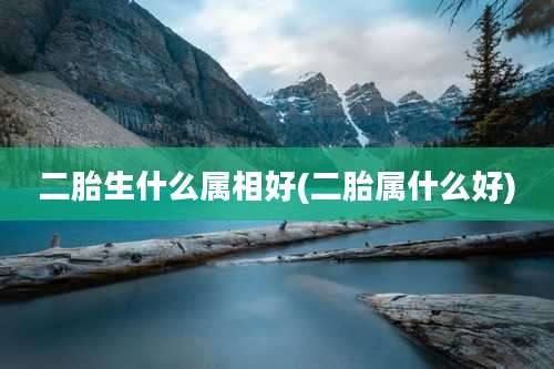 二胎生什么属相好(二胎属什么好)