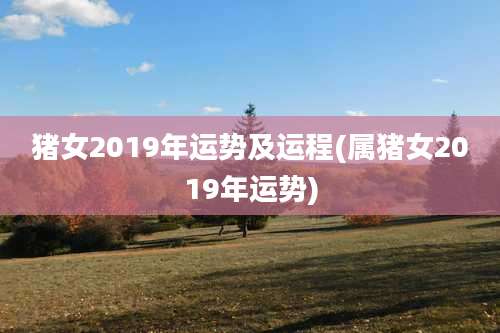 猪女2019年运势及运程(属猪女2019年运势)