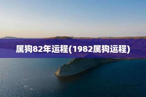 属狗82年运程(1982属狗运程)