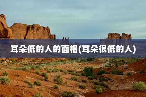 耳朵低的人的面相(耳朵很低的人)