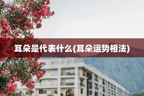 耳朵是代表什么(耳朵运势相法)