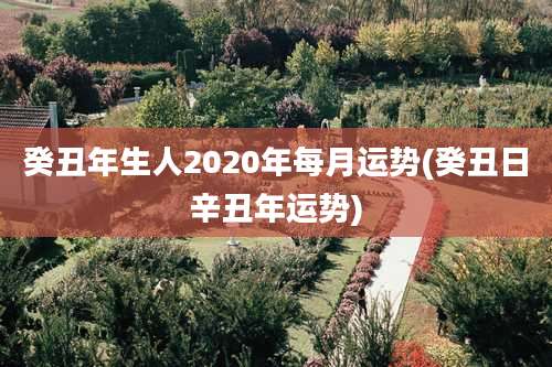 癸丑年生人2020年每月运势(癸丑日辛丑年运势)