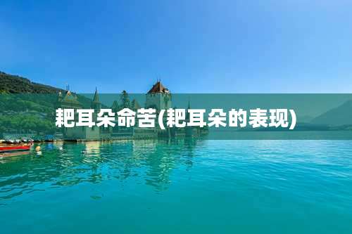 耙耳朵命苦(耙耳朵的表现)