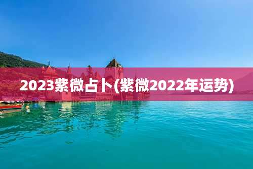 2023紫微占卜(紫微2022年运势)