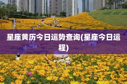 星座黄历今日运势查询(星座今日运程)