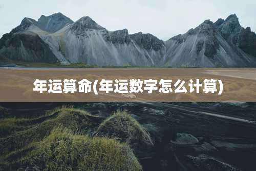 年运算命(年运数字怎么计算)