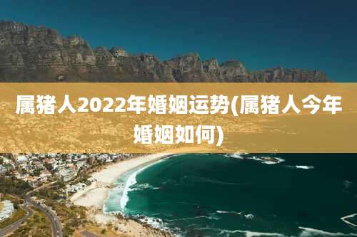 属猪人2022年婚姻运势(属猪人今年婚姻如何)