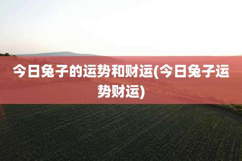 今日兔子的运势和财运(今日兔子运势财运)
