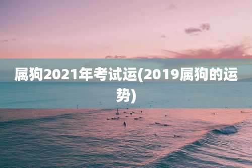 属狗2021年考试运(2019属狗的运势)