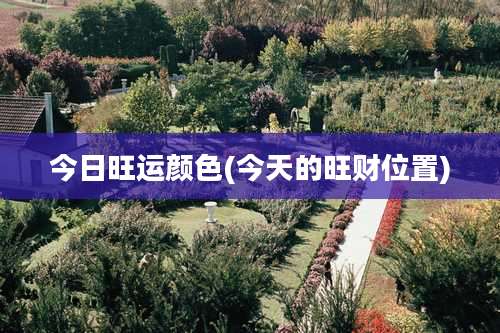 今日旺运颜色(今天的旺财位置)