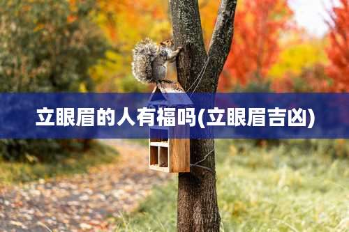 立眼眉的人有福吗(立眼眉吉凶)