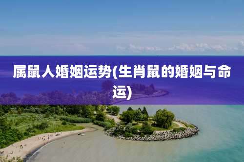 属鼠人婚姻运势(生肖鼠的婚姻与命运)