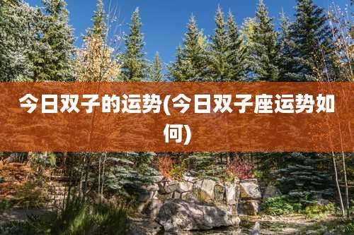 今日双子的运势(今日双子座运势如何)
