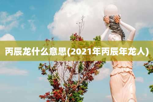 丙辰龙什么意思(2021年丙辰年龙人)