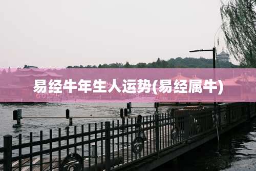 易经牛年生人运势(易经属牛)