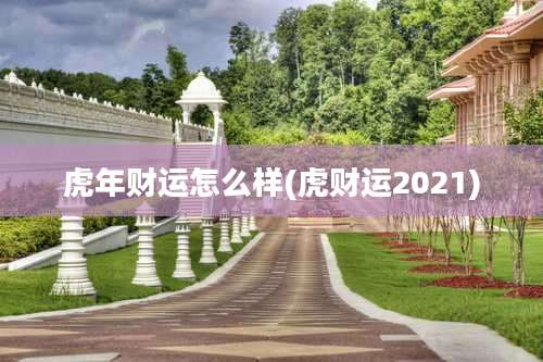 虎年财运怎么样(虎财运2021)
