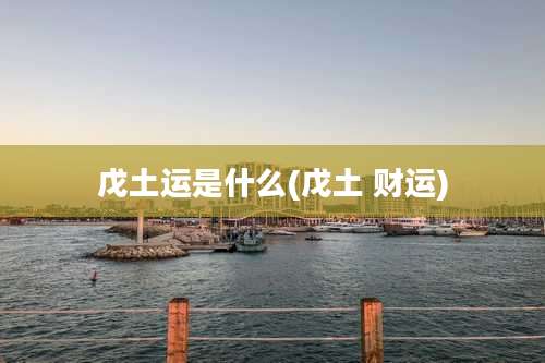 戊土运是什么(戊土 财运)