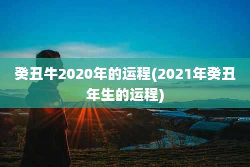 癸丑牛2020年的运程(2021年癸丑年生的运程)