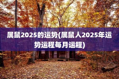 属鼠2025的运势(属鼠人2025年运势运程每月运程)