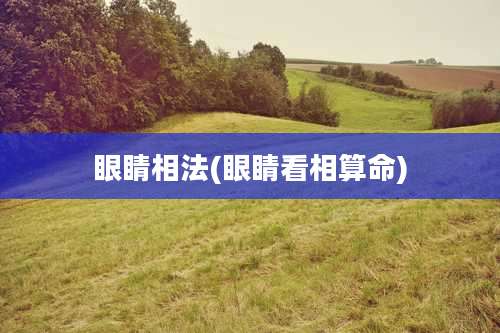 眼睛相法(眼睛看相算命)