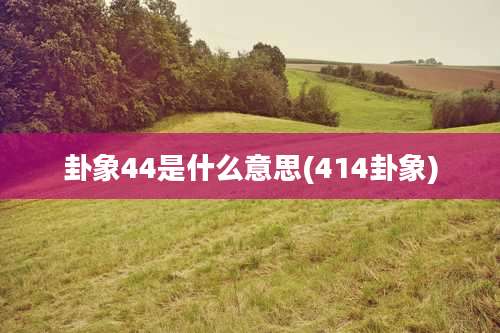 卦象44是什么意思(414卦象)