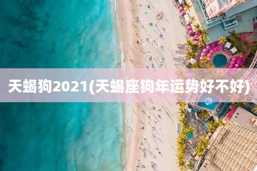 天蝎狗2021(天蝎座狗年运势好不好)