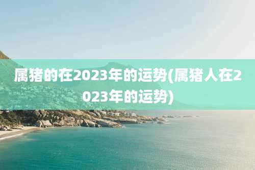 属猪的在2023年的运势(属猪人在2023年的运势)