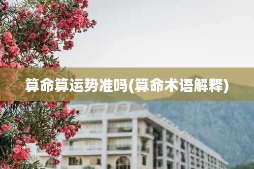 算命算运势准吗(算命术语解释)