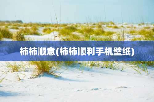 柿柿顺意(柿柿顺利手机壁纸)