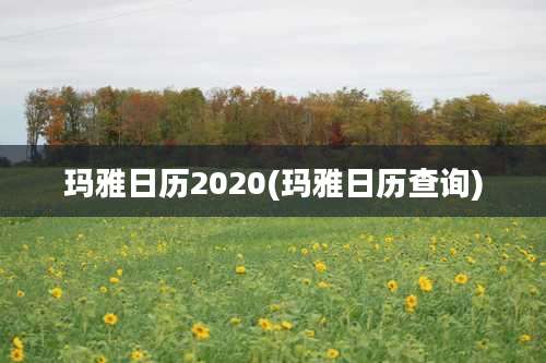 玛雅日历2020(玛雅日历查询)