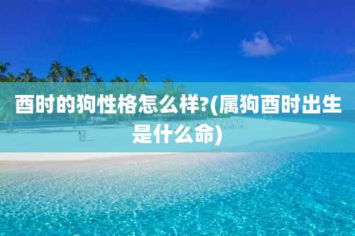 酉时的狗性格怎么样?(属狗酉时出生是什么命)