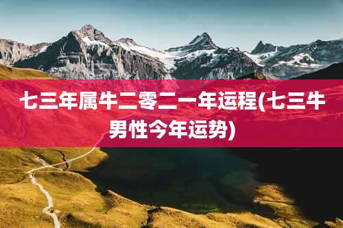 七三年属牛二零二一年运程(七三牛男性今年运势)
