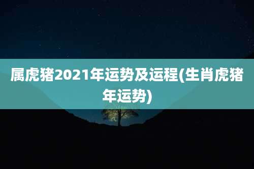 属虎猪2021年运势及运程(生肖虎猪年运势)