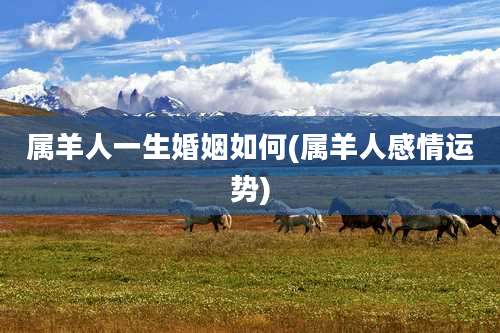 属羊人一生婚姻如何(属羊人感情运势)