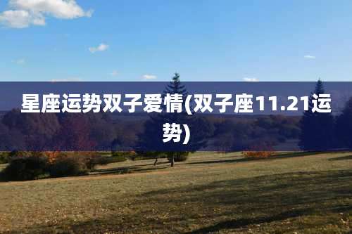 星座运势双子爱情(双子座11.21运势)