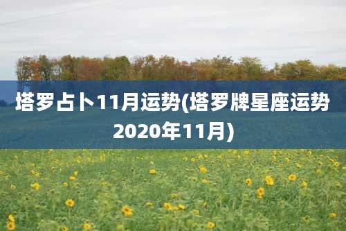 塔罗占卜11月运势(塔罗牌星座运势2020年11月)