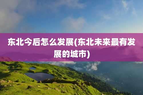 东北今后怎么发展(东北未来最有发展的城市)